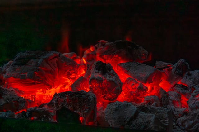 Kokoso, bambuko ar citrusmedžio: kodėl anglių pasirinkimas yra mokslas, apie kurį mažai kas kalba