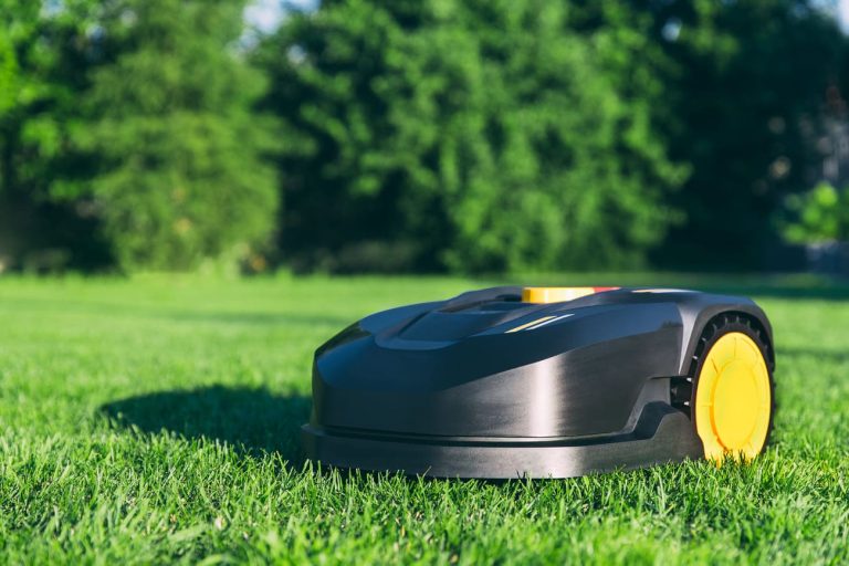 Veja be rūpesčių: geriausi robotai, kuriuos verta pirkti dabar